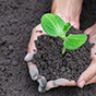 Как восстановить почву после весеннего паводка: разъясняют эксперты ФГБУ «Центр оценки качества зерна»