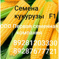 Семена кукурузы F-1