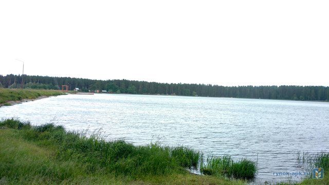 Пруд в каменке воронежской области фото