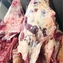 ОООСантарин реализует мясо говядины в полутуше коровы,быки.