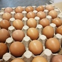 Яйцо столовое куриное