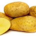 Семенной картофель из Беларуси. Картофель Бриз