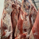 ОООСантарин реализует мясо говядины,корова,бык, 1Ксвинины 1-2К.