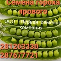 Семена гороха Вельвет, Готик, Эмили 