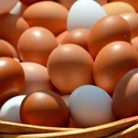 Яйцо куриное С1 оптом