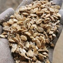 Плющилка дробилка зерна