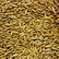 Зерно Пшеница Ячмень Овес