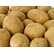 Семенной картофель из Беларуси. Доставка по всей РФ
