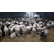 Продам баранину: овцы, ягнята живой вес