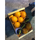 продаем апельсины 