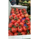 продаем томаты из Испании