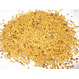 Куплю семена горчицы желтой от 10 тонн