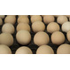 Инкубационное яйцо кросс РОСС 308, от 16 руб. за шт.