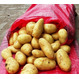  Картофель производства Египет