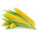 Элитные семена кукурузы Зерноградский 282 МВ, 354 МВ