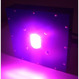 Светодиодный фитосветильник DE-СОЮЗ I, 30Вт (полноспектральный)