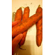 Морковь - поставщик из Украины - Овощи, фрукты