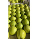Производим и продаем яблоки. 500 тонн