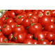 Продам помидоры - Узбекистан