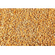 Пшеница 3, 4 и 5 класс урожай 2016 продаем франко-вагон FCA