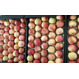 Яблоки оптом разных сортов от производителя.