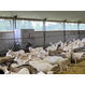 Кормораздатчик для коз беспилотный SIEPLO (Голландия)