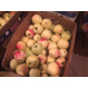 Продаю яблоки зимних сортов (Голден, Семеренко, Антоновка) в  г Нижний Новгород пос Новинки . 