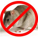 Средство для борьбы с грызунами мыши, крысы