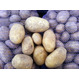 КФХ реализует картофель сорта Уладар калибра 5+
