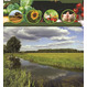 Справочник сельхозпроизводителей. 13 регионов