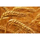Зерно пшеница 5 кл