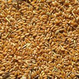 Реализуем Пшеницу 3, 4, 5 класса, качество ГОСТ