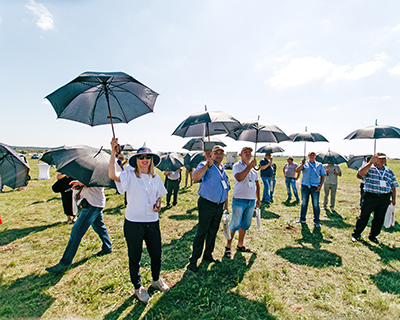 Гости Дня поля дружно раскрыли зонтики в честь запуска технологии SunPower℗ в России.