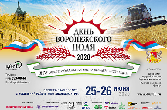 День Воронежского поля 2020
