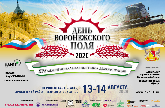 День Воронежского поля 2020