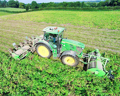 Удаление ботвы на картофельных полях в Европе