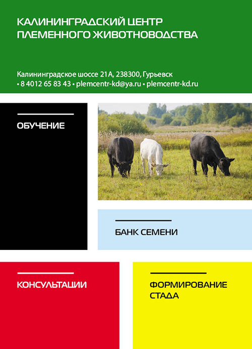 Калининградский центр племенного животноводства
