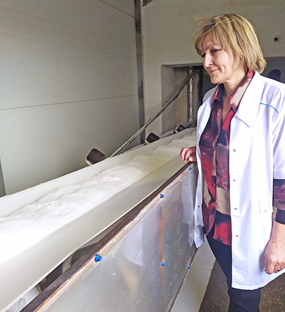 Главный технолог Залегощенского сахарного завода Екатерина Голушкова демонстрирует технологию переработки сахарной свёклы