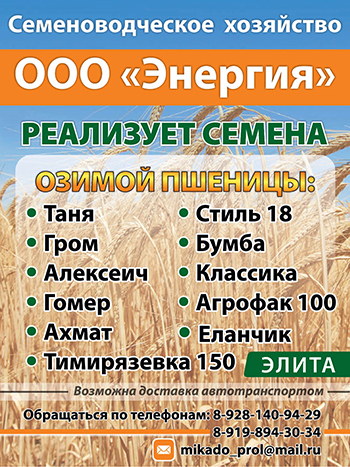 ООО «Энергия»