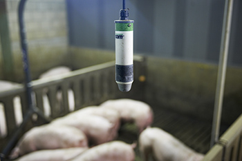 PCM – мониторинг кашля свиней