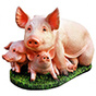 Кормление лактирующих свиноматок: опыт фермера