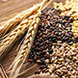 Ежемесячный обзор рынка зерновых за январь