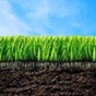 Сверхэффективное влияние ЭМ-технологии Шаблина на плодородие почвы