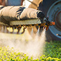Что такое поддельные пестициды и почему их покупают фермеры