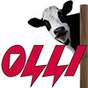 Olli – эффективные электропастухи для создания любых изгородей!