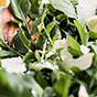 Оборудование для работы с салатами и чищеными овощами от «СИГНАЛ-ПАК»: бережно сохраняем свежесть продукта