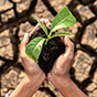 Всемирный день борьбы с опустыниванием: как пустыня может «съесть» сельхозугодья