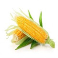 Кукуруза 1,2 класса