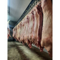 ОООСантарин реализует мясо свинины,свиноматки,хряки, в полутуше 1К2Кохлажденное.