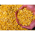 Кукуруза продовольственная большие объёмы